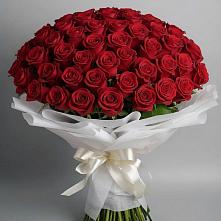 Букет 101 Красная роза Блэк Мэджик в Куртамыше