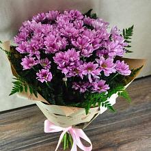 Букет цветов из:  Хризантемы #REPLACE_PRED# Куртамыше