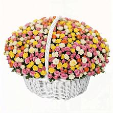 Премиум букет из: Розы в Куртамыше