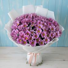 Букет цветов из:  Хризантемы в Куртамыше