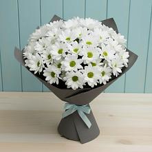 Букет цветов из:  Хризантемы #REPLACE_PRED# Куртамыше