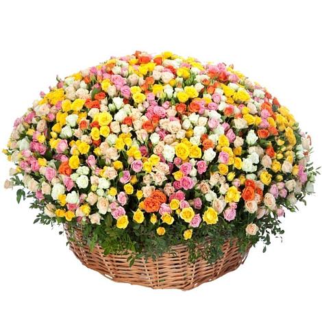 Премиум букет из: Розы в Куртамыше