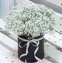 Цветочная композиция из Гипсофила в шляпной коробке в Куртамыше