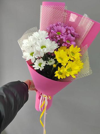 Букет цветов из: Хризантемы в Куртамыше