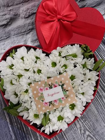 Цветочная композиция из Хризантемы в виде сердца в Куртамыше