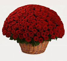 Премиум букет из: Розы в Куртамыше