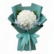 Букет цветов из:  Гортензия в Куртамыше